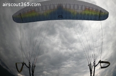 OZONE Swift 4 MS