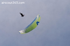 Skywalk Masala 3 Xs