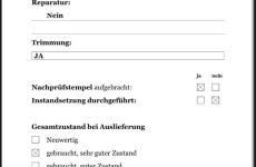 Skywalk Spirit 120 arctic blue - frischer Check