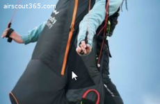 Verkaufe Woody Crest M