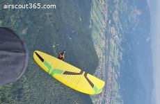 Zeno 2 ML, 15h, Sonderfarben, wie neu